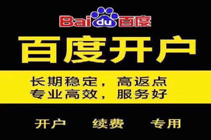 SEM主管实战案例：广告投放策略优化